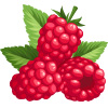 raspberries rank 19 in our top 25 list of most hydrating foods