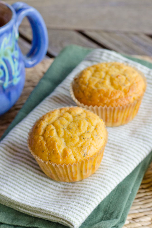 lemon poppy paleo muffins