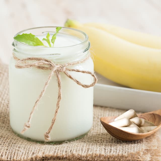 What Are Probiotics? And Why Do I Need Probiotics?