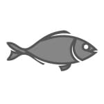 16 Foods That Will Help Support Brain Health