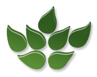 How Do I Know I'm Actually Getting the Ingredients You Say You're Putting In Your Swanson Supplements?