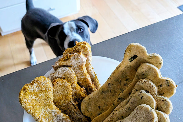 two types of dog treats in a bowl with a gray dog in the background