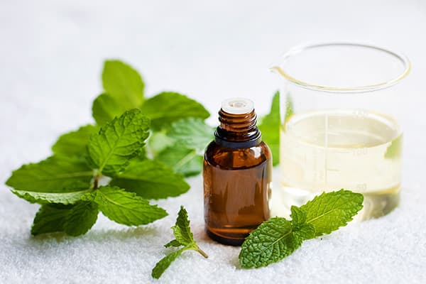 The Benefits of Spearmint