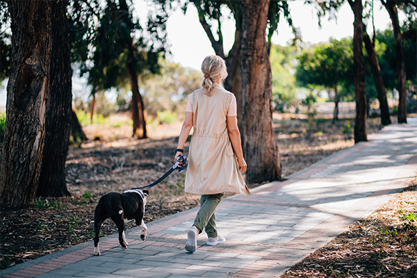 Mental Health and Immunity: Are They Connected?