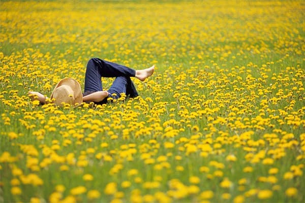 The Essential Guide to Natural Respiratory Support