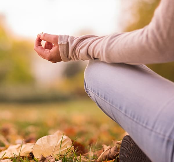 Natural Stress Support Allies