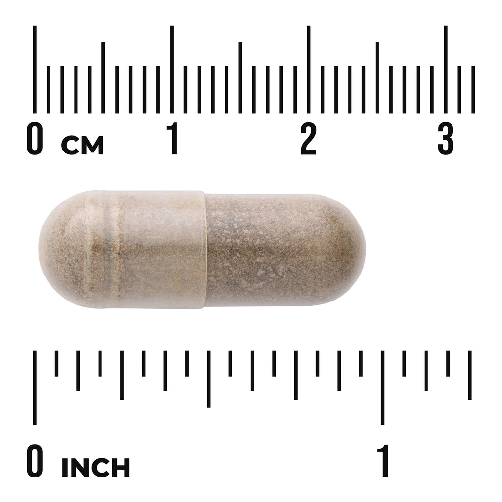 SWU1051 | Clear capsule filled with brown powder centered between centimeter and inch rulers labeled 0 CM and 0 INCH - Thumbnail