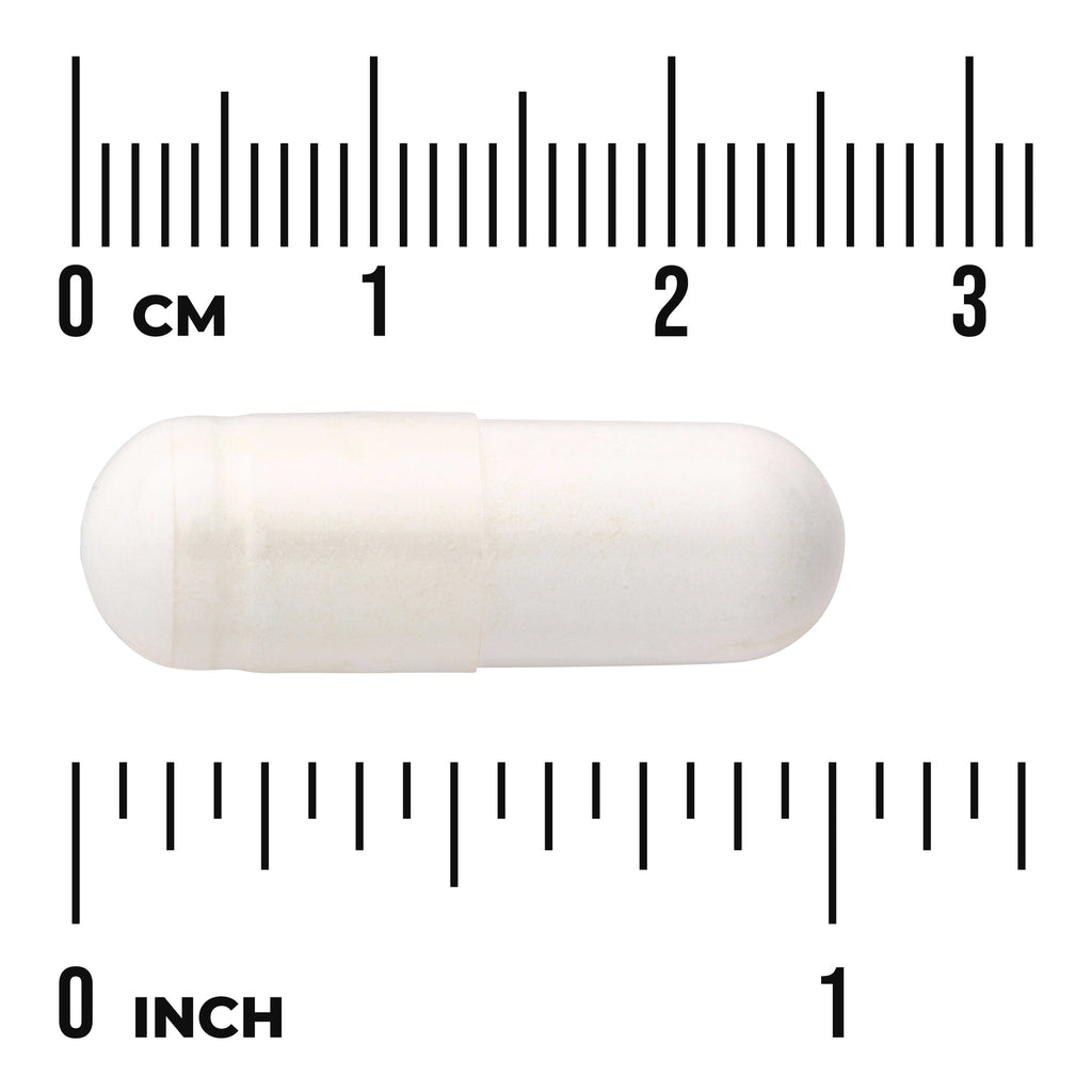 SWU675 | White capsule next to size rulers in centimeters and inches - Thumbnail