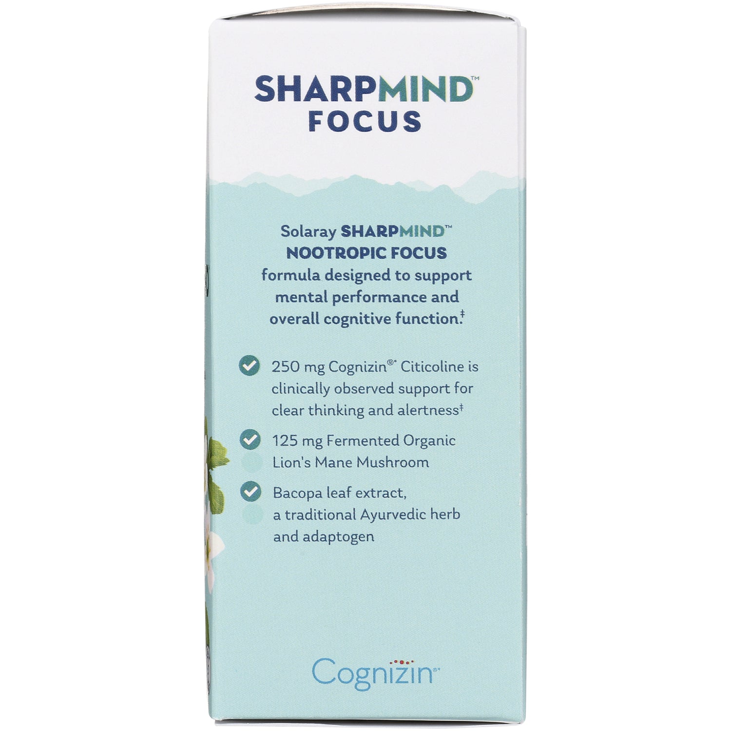 SLR490 | SharpMind Focus infographic: Nootropic Focus with Cognizin citicoline, lion's mane, and bacopa