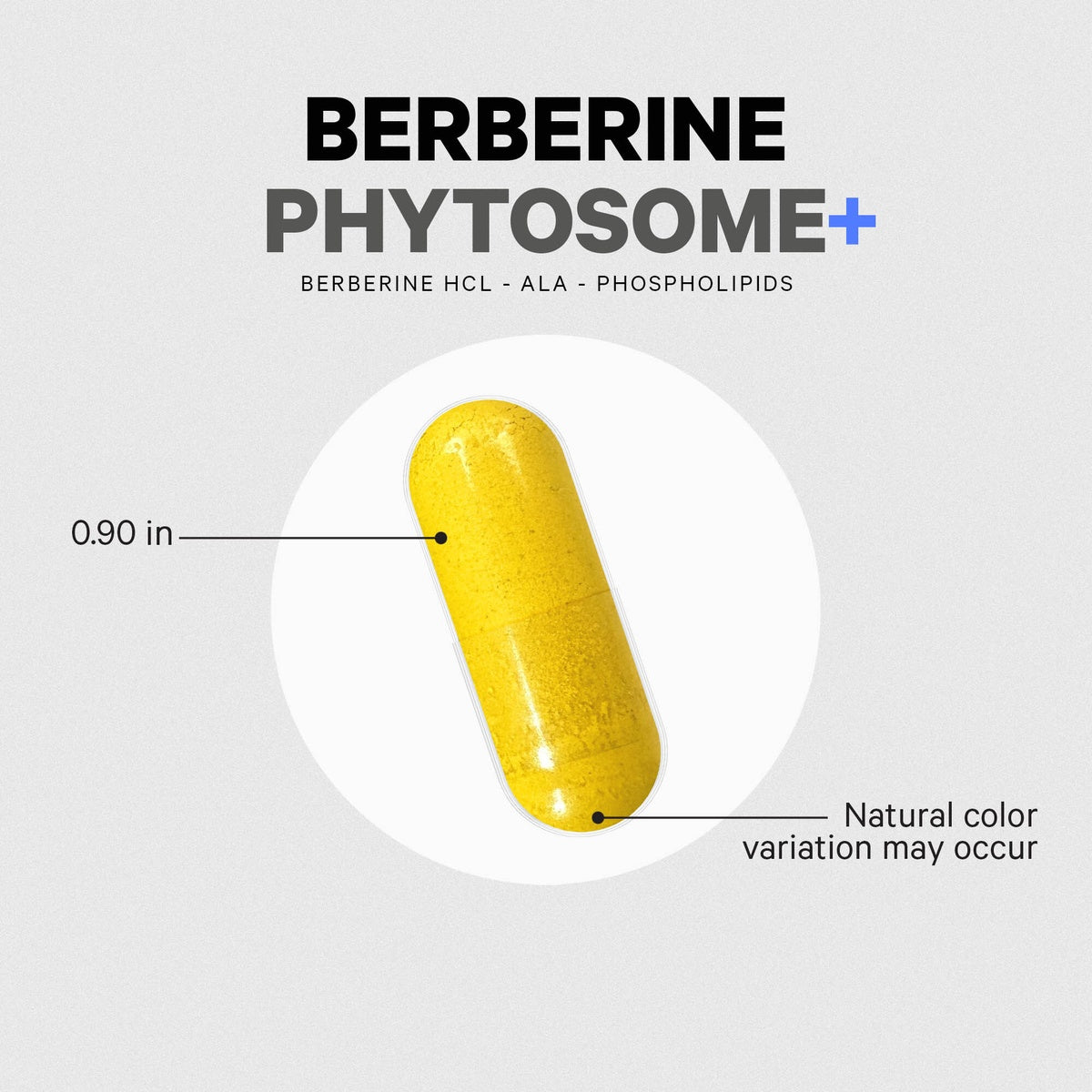 CDG013 | Berberine Phytosome+ capsule infographic showing 0.90 in length and natural color variation