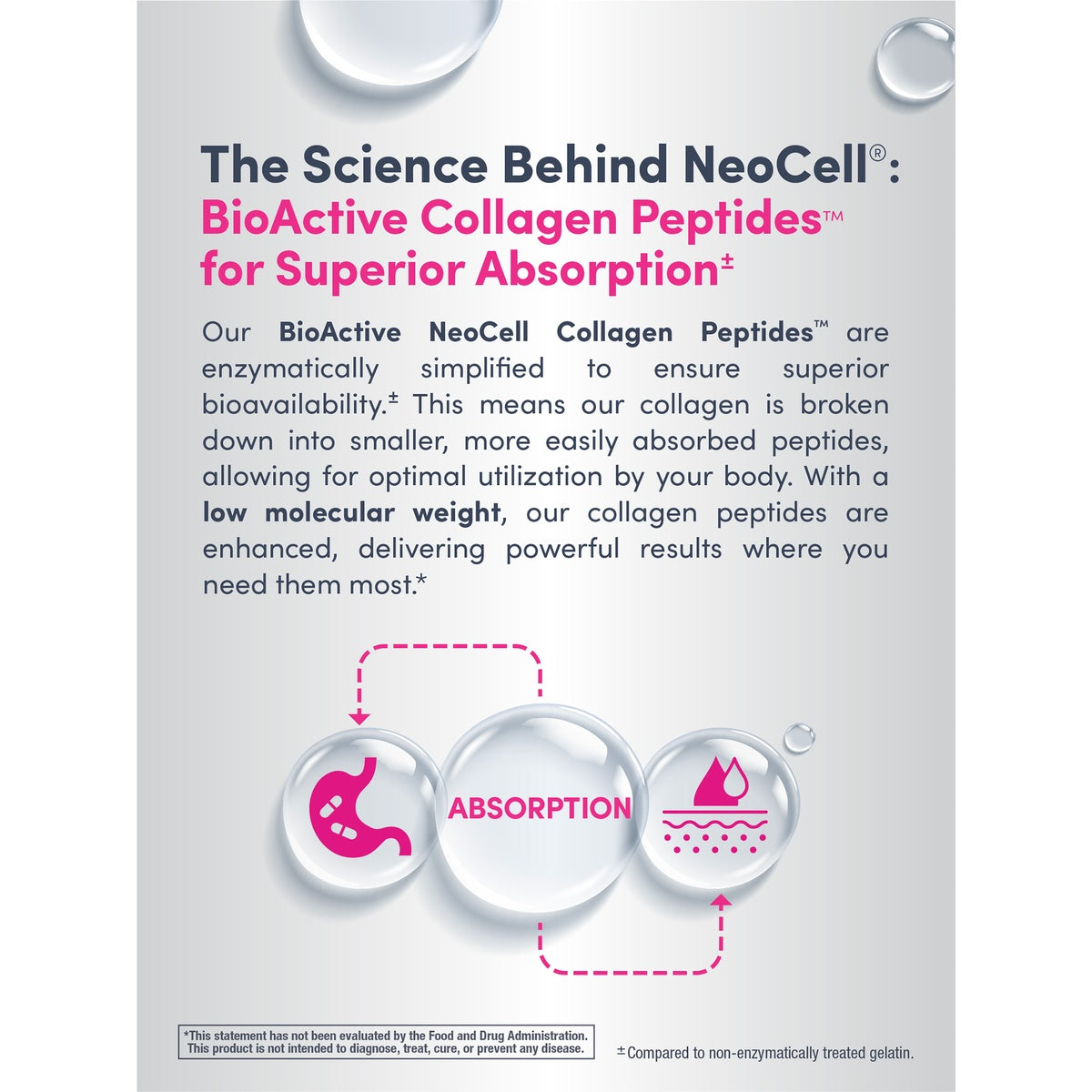 NEC029 | back label of collagen powder showing product infographic with suggested use and warnings