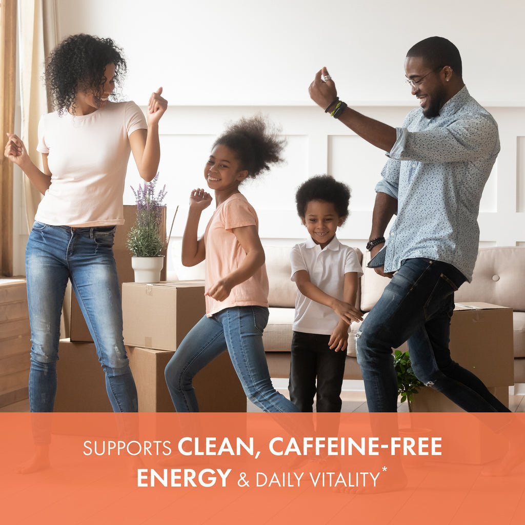 EnergyPlus - Thumbnail