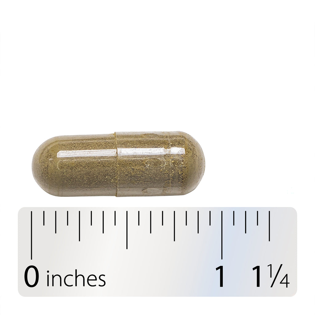 Neem Leaf - Thumbnail