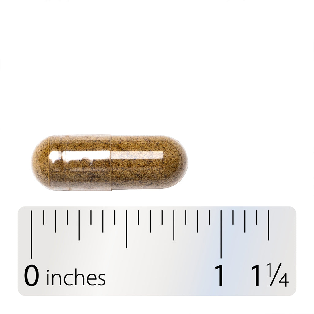 Whole Thallus Bladderwrack Plant-Based Iodine - Thumbnail
