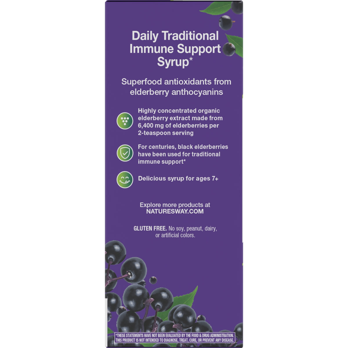 NW808 | Back panel of purple elderberry syrup box reading Daily Traditional Immune Support Syrup with ingredient highlights and berries image