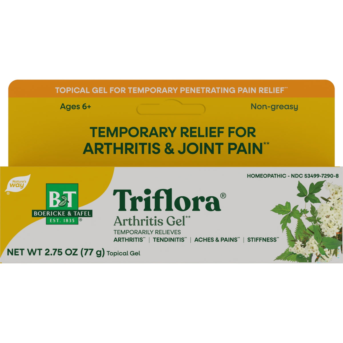 BRK003 | Triflora arthritis gel box front showing branding and temporary relief for arthritis and joint pain