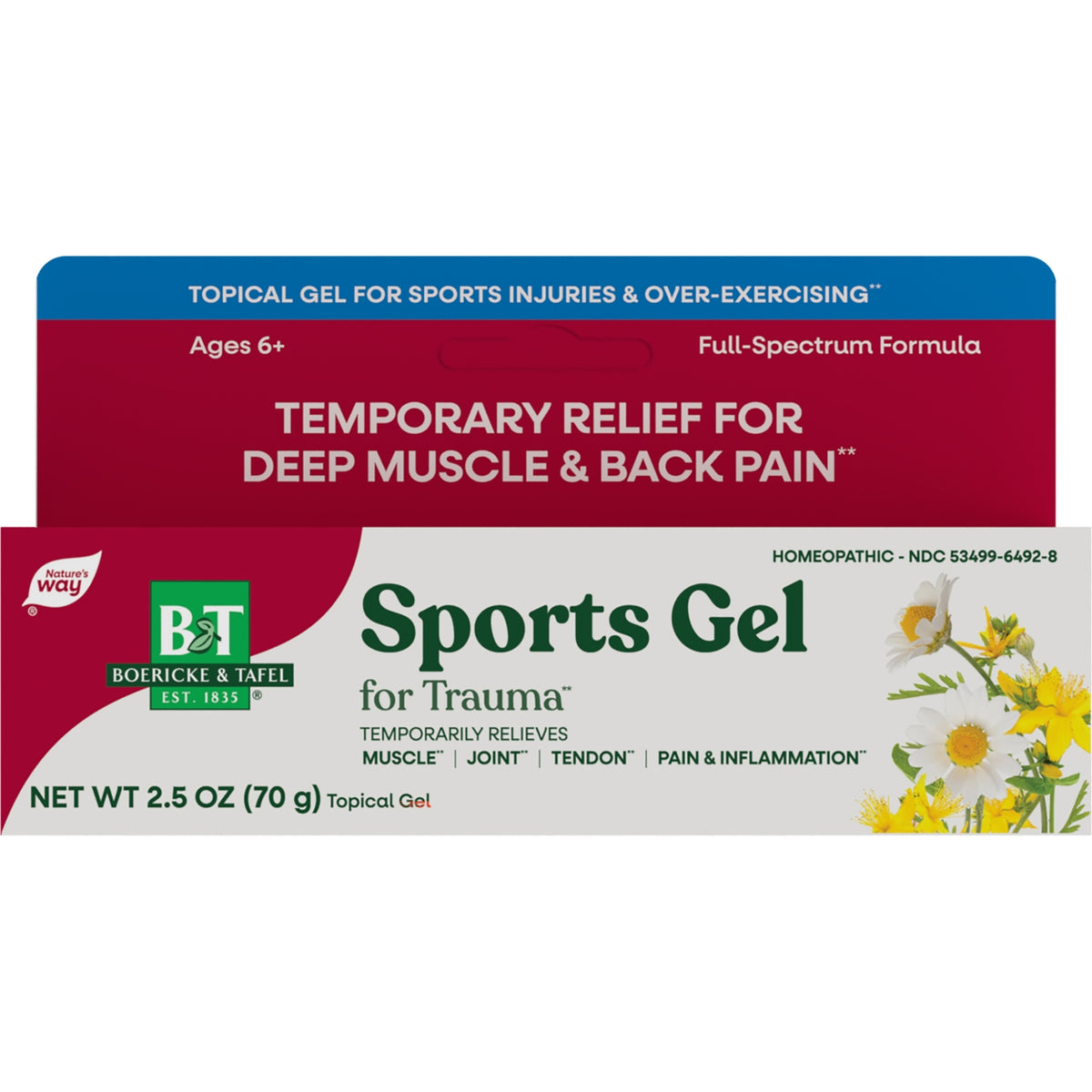 BRK013 | Front packaging of Sports Gel topical box labeled Deep Muscle & Back Pain, homeopathic, net wt 2.5 oz