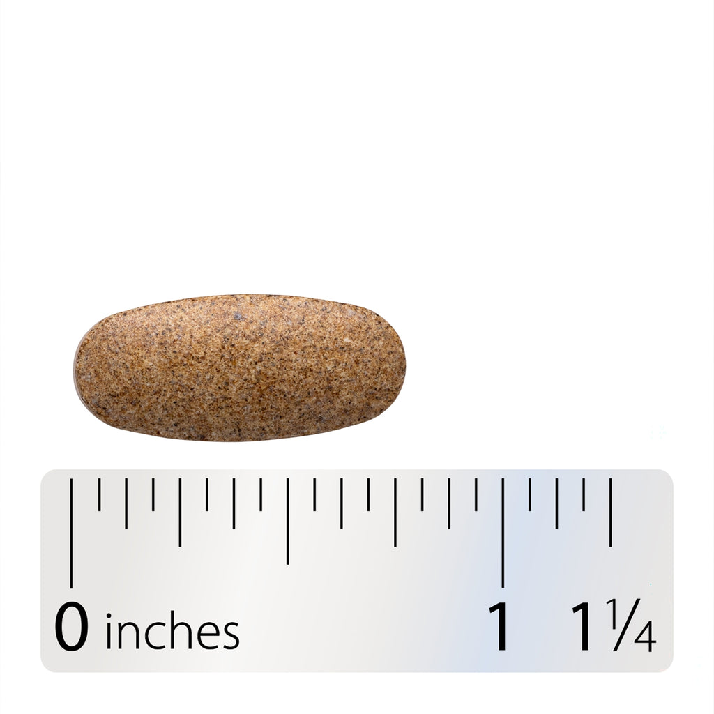 ET348 | Brown oval tablet shown with inch ruler for size reference - Thumbnail