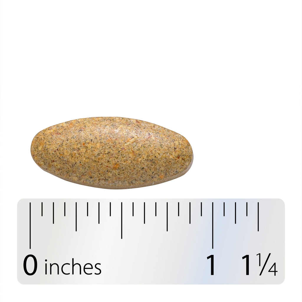 NW741 | Oval tan speckled stone shown with ruler for scale - Thumbnail