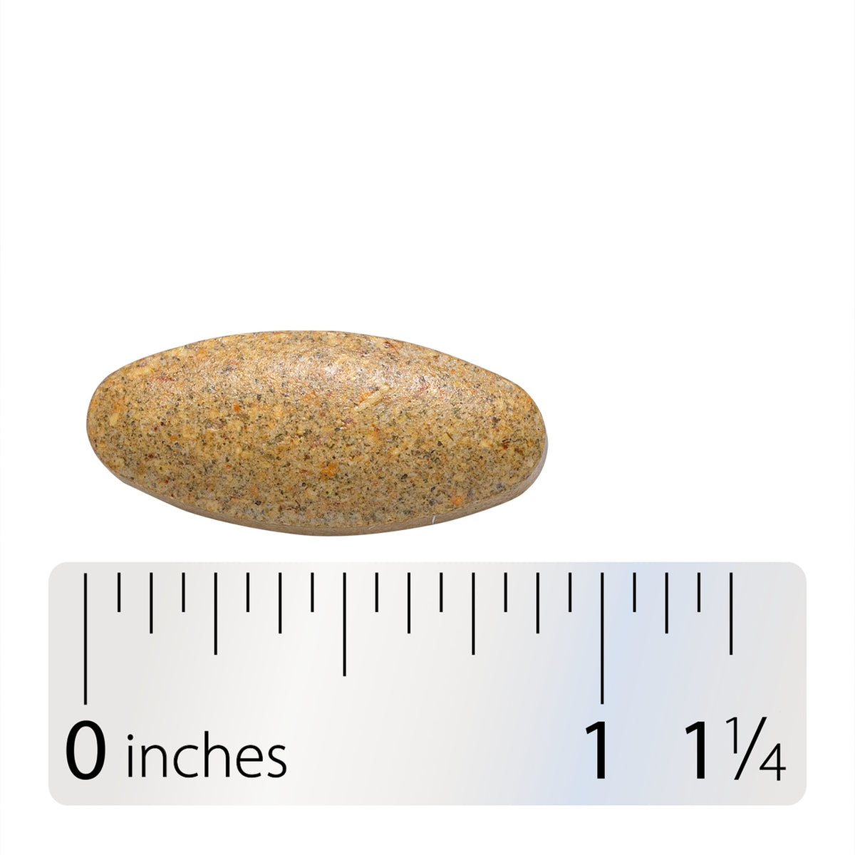 NW574 | Oval speckled beige tablet on a ruler, measuring about 1 1/4 inches