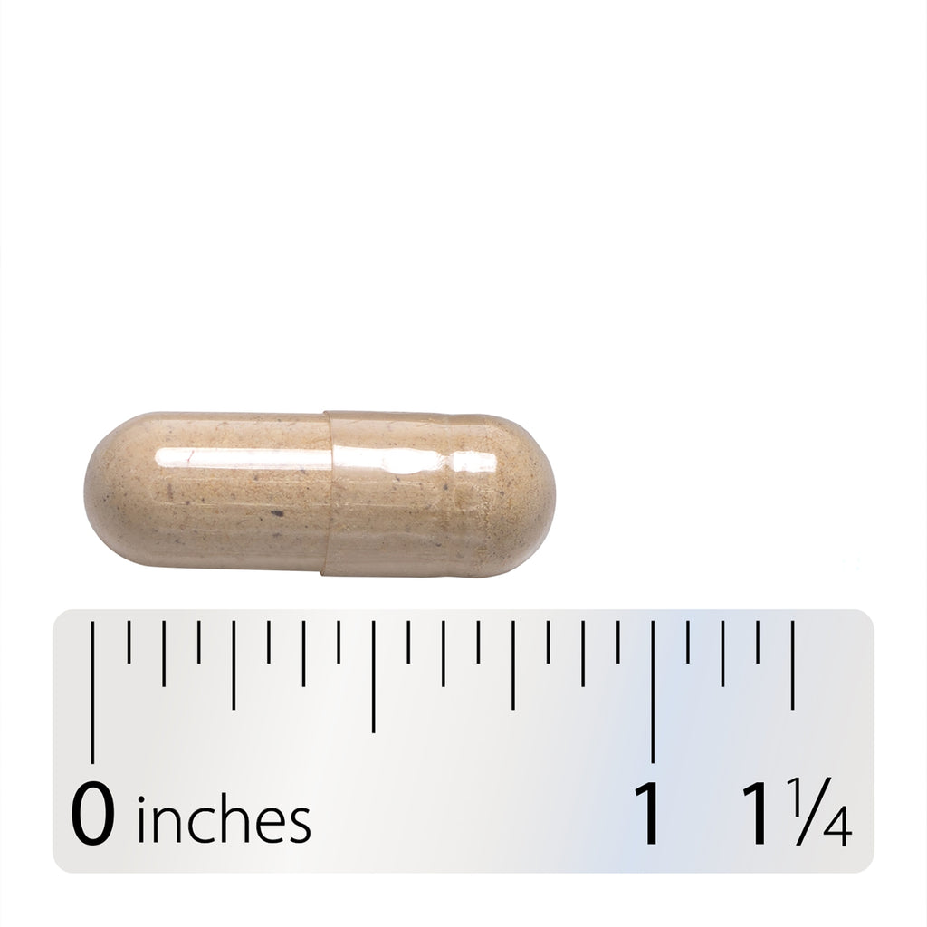 NW274 | Clear capsule filled with beige powder beside a ruler, measuring about 1 inch long - Thumbnail