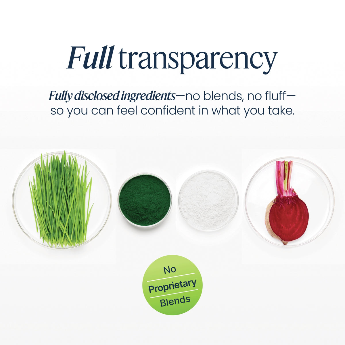 VH041 | Full transparency infographic showing fully disclosed ingredients and no proprietary blends