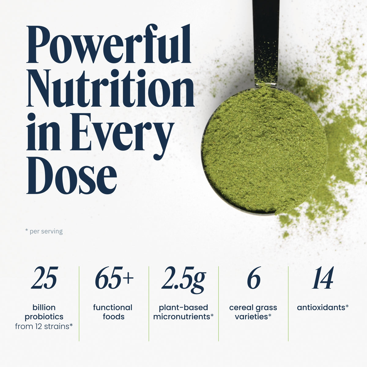 VH041 | Poweful Nutrition in Every Dose infographic with green powder spoon and ingredient highlights
