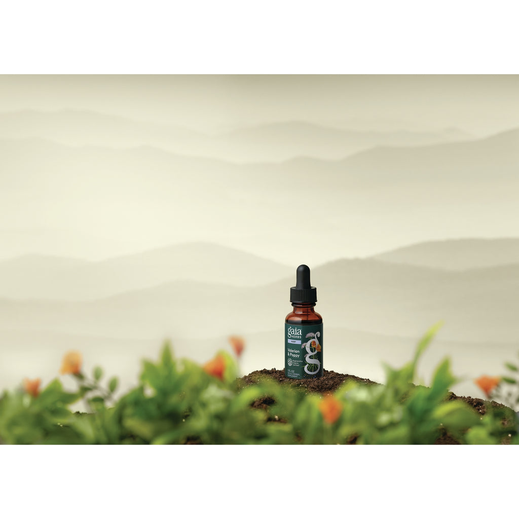 GH179 | Gaia Herbs Valerian & Poppy supplement dropper bottle on soil with blurred flowers - Thumbnail