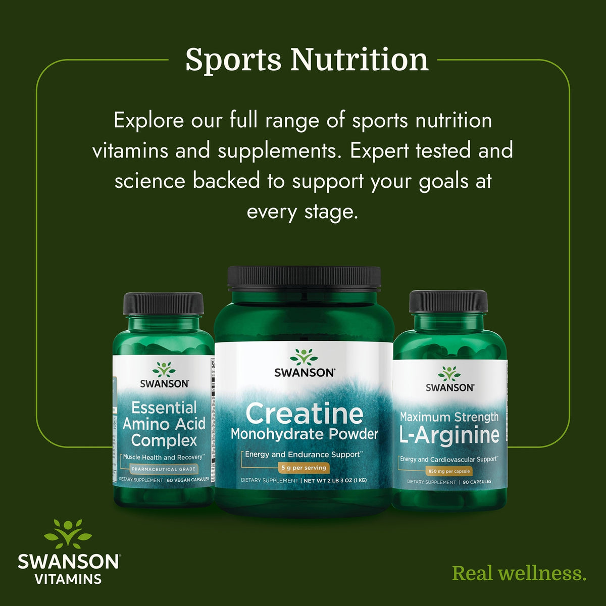 Creatine Monohydrate Powder
