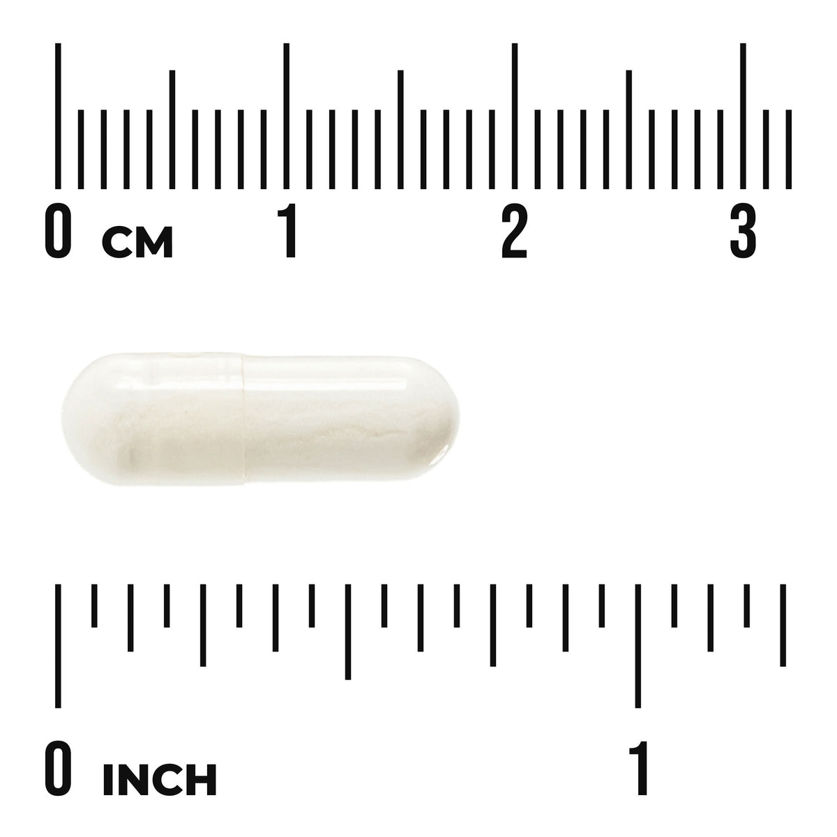 SW1041 | Capsule size shown with centimeter and inch rulers