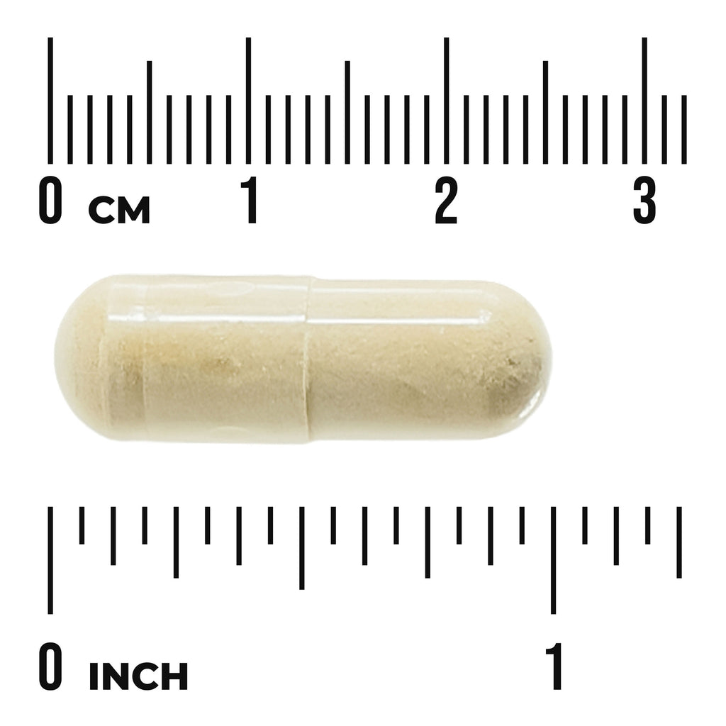 SW1097 | beige capsule centered between centimeter and inch rulers showing 0-3 cm and 0-1 inch scales - Thumbnail