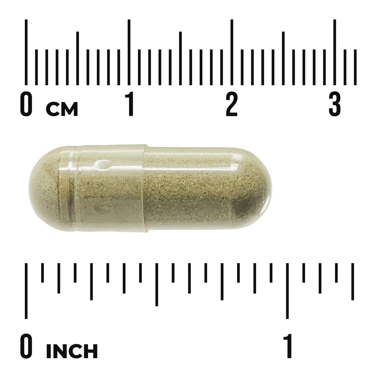 SW1354 | Beige powdered supplement capsule shown next to centimeter and inch rulers to indicate size
