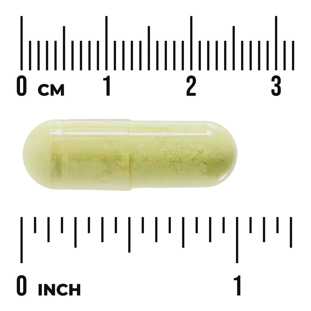 SW1671 | yellow capsule pill between rulers marked CM and INCH to show size - Thumbnail