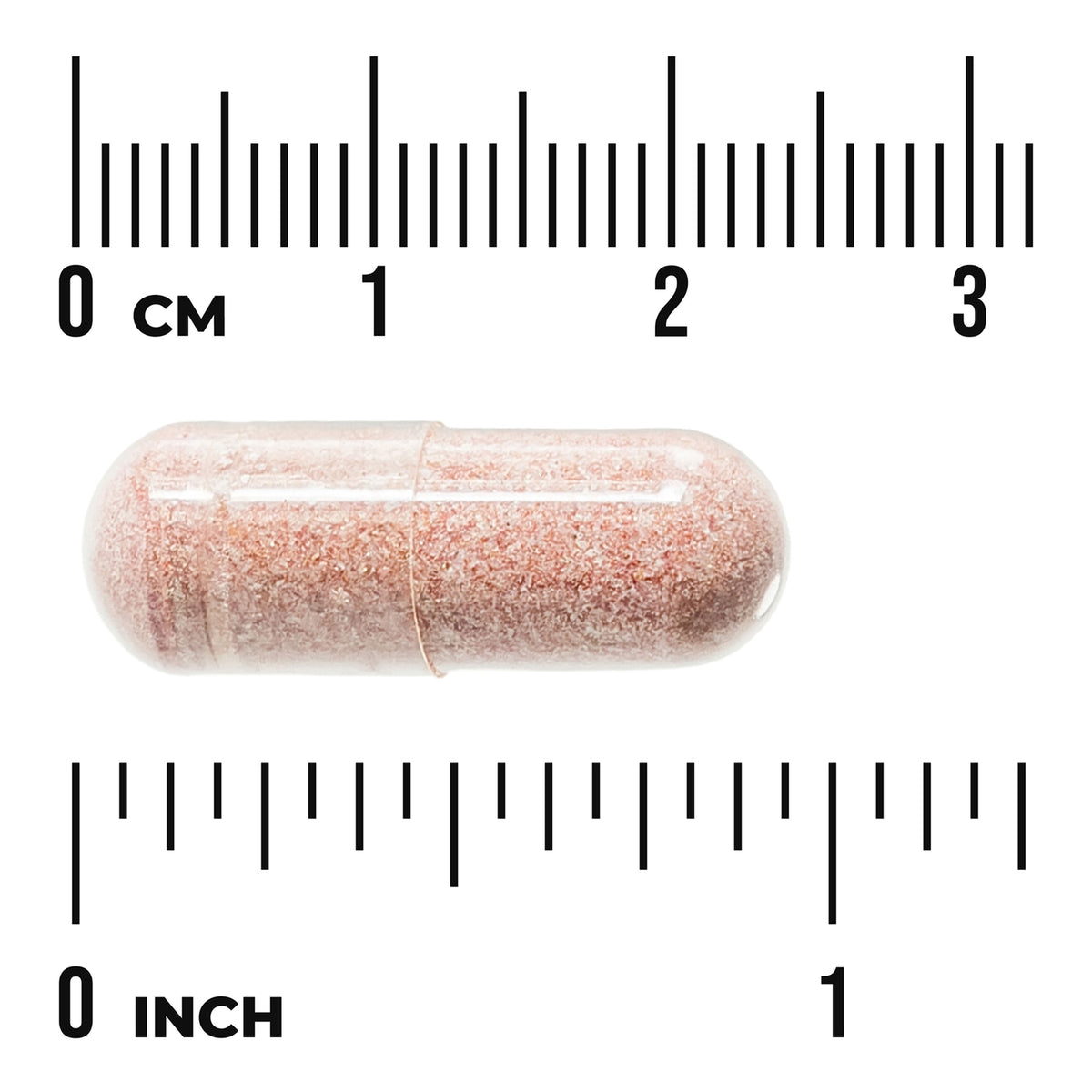Urinary Tract Essentials