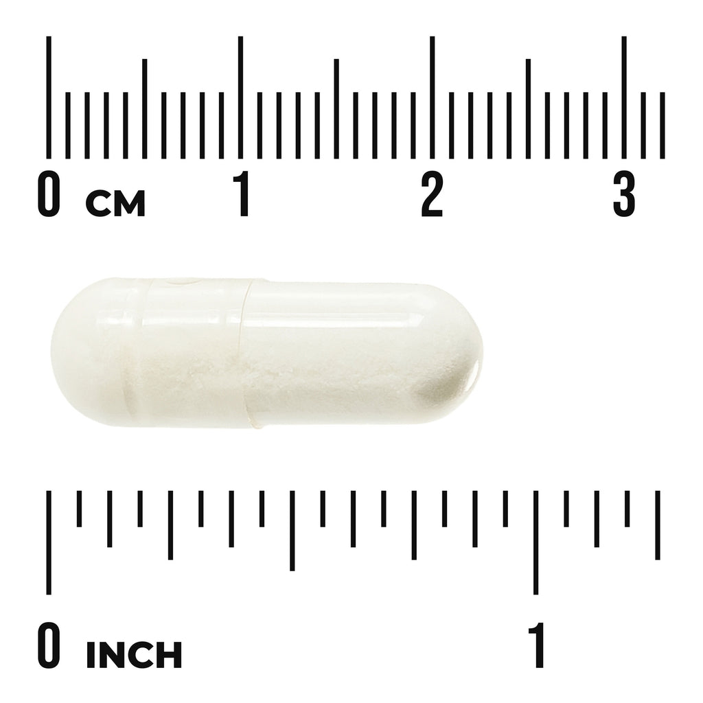 SWU261 | White capsule shown with centimeter and inch rulers for size reference - Thumbnail