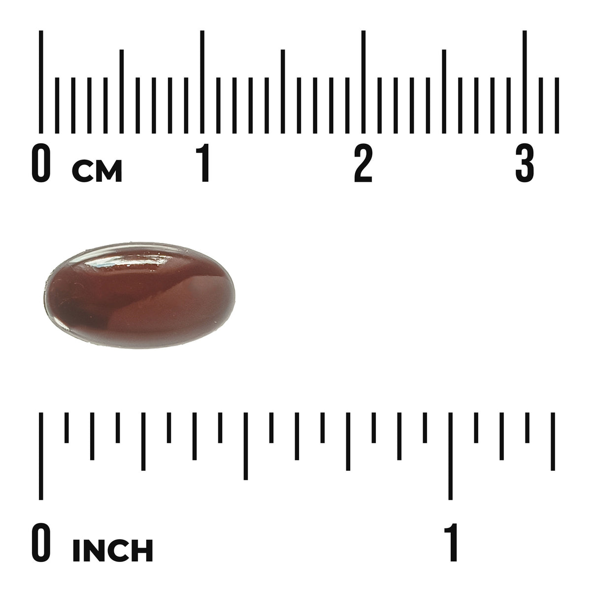 SWU659 | dark brown oval softgel on centimeter and inch rulers for size reference