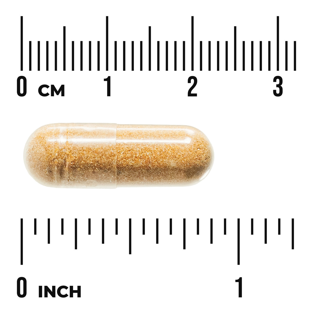 SWU916 | Brown capsule on rulers showing size in centimeters and inches