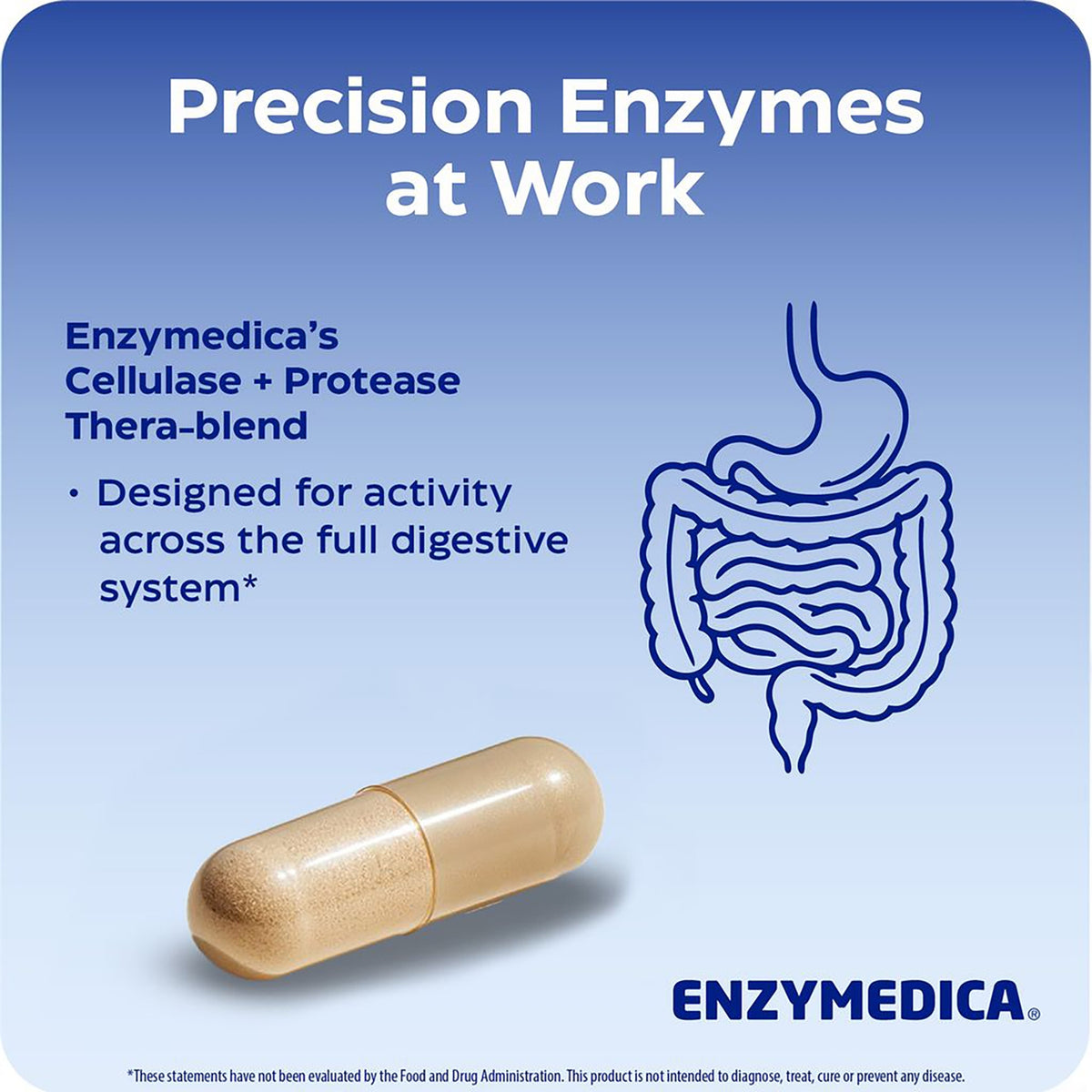 EMD005 | Enzymedica Cellulase + Protease Thera-blend capsule infographic with digestive system illustration