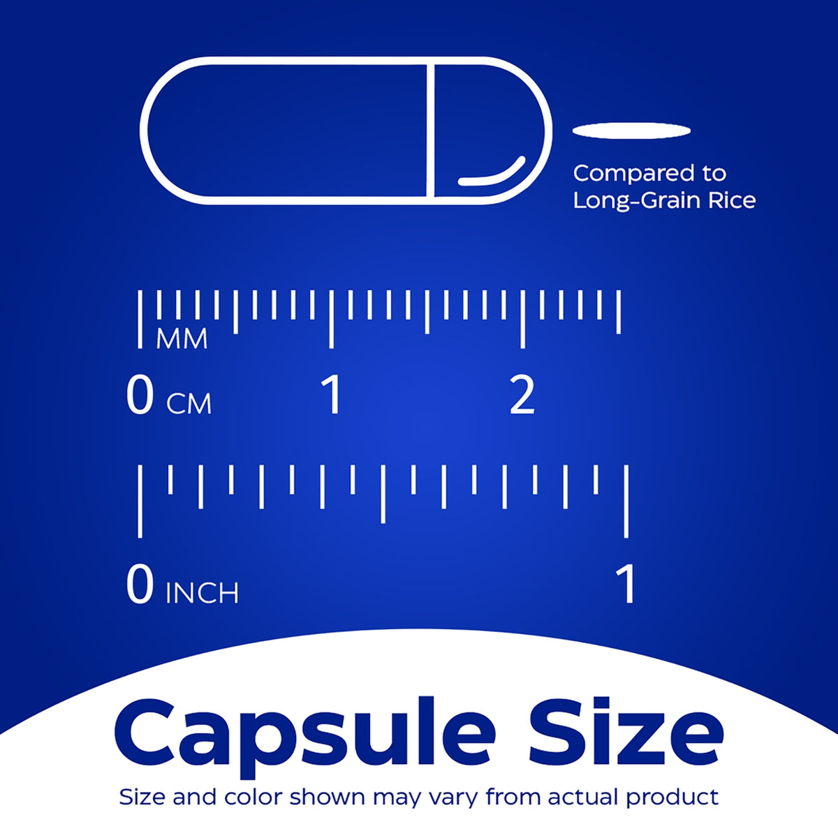 EMD029 | Capsule size comparison infographic with ruler and long-grain rice reference