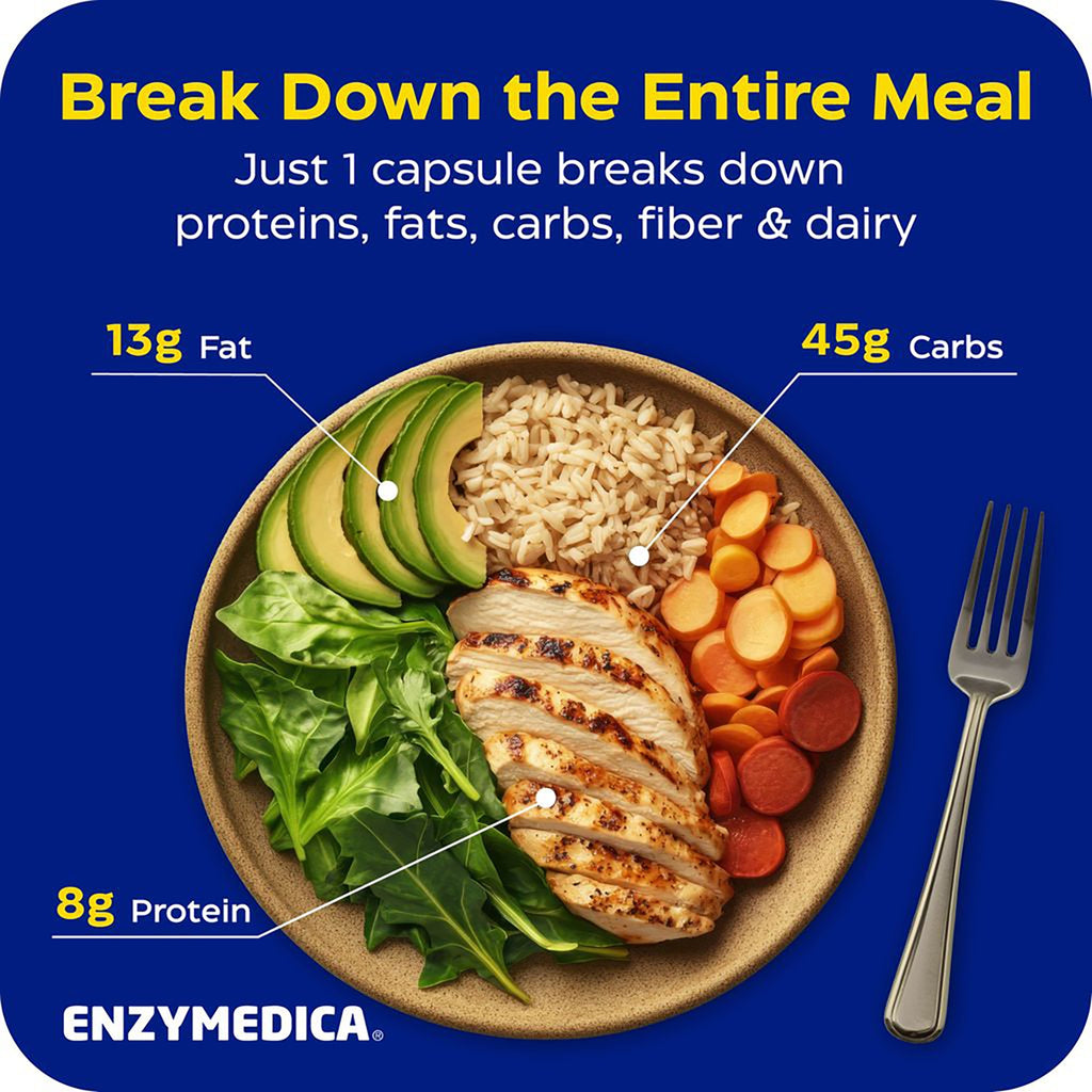 EMD006 | Infographic of a meal plate with labels for fat, carbs, protein, and food breakdown - Thumbnail