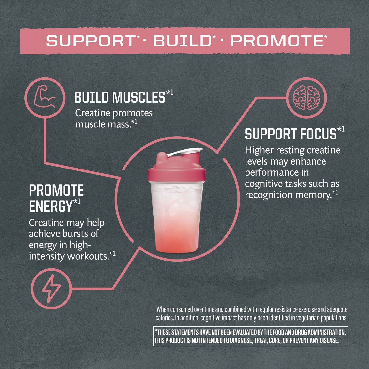 SNW066 | Support, Build, Promote: creatine promotes muscle mass, supports focus, and promotes energy