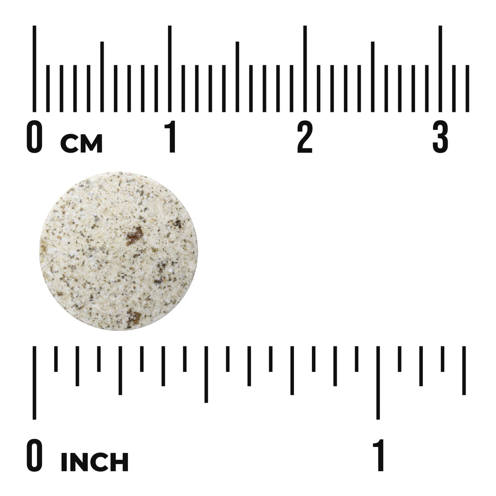 SWD019 | Round speckled tablet shown with ruler scale in centimeters and inches - Thumbnail