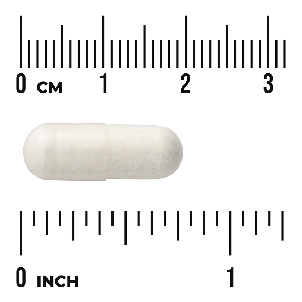 SWU251 | White capsule on ruler for scale showing CM and INCH markings - Thumbnail