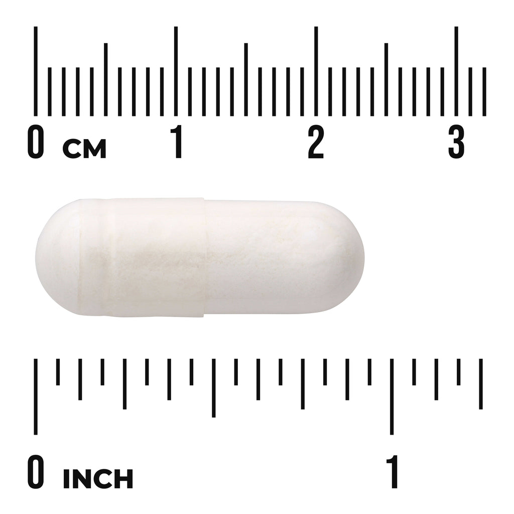 SW225 | White capsule shown with size scale in centimeters and inches - Thumbnail