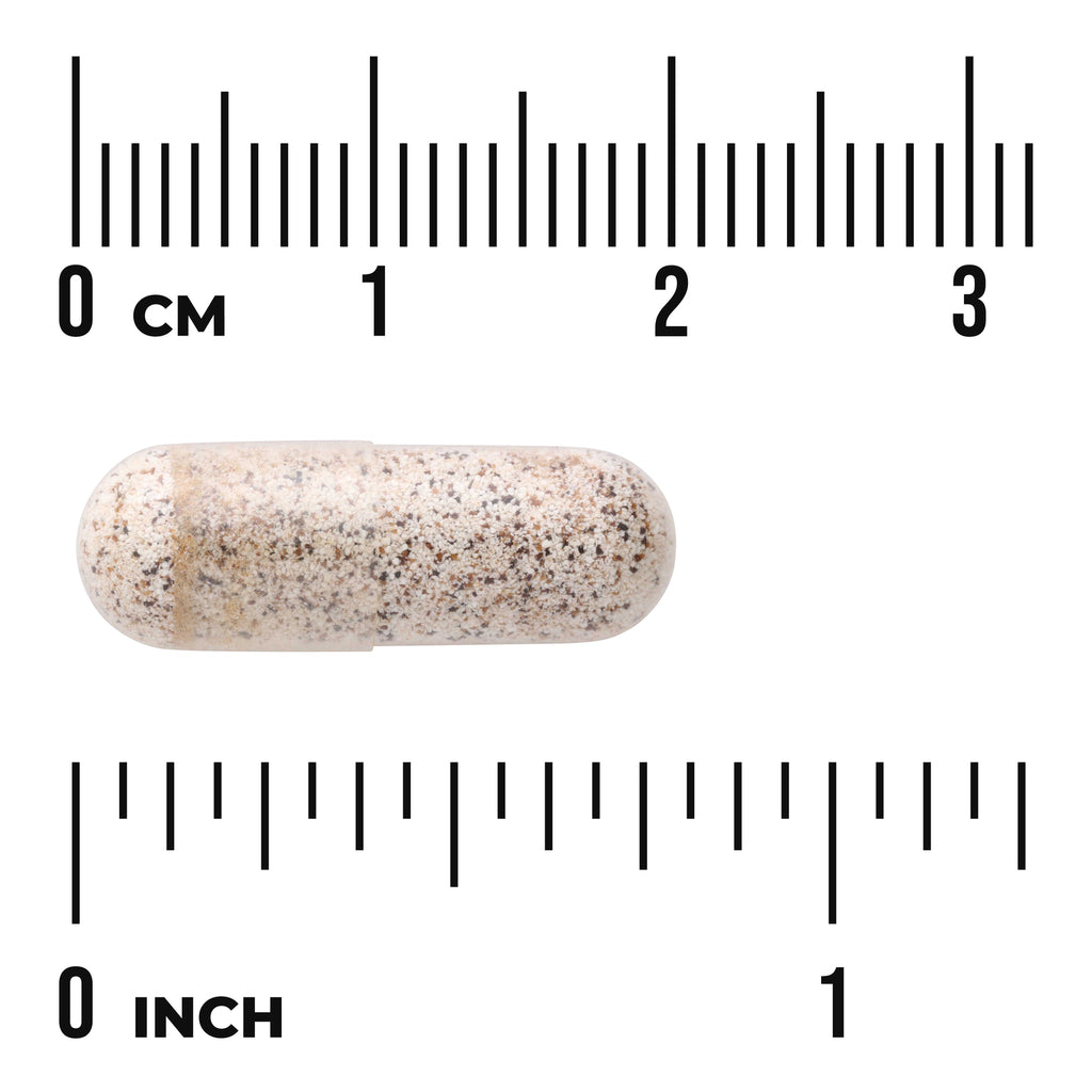 SWU376 | Beige speckled capsule shown on cm and inch rulers for size reference - Thumbnail