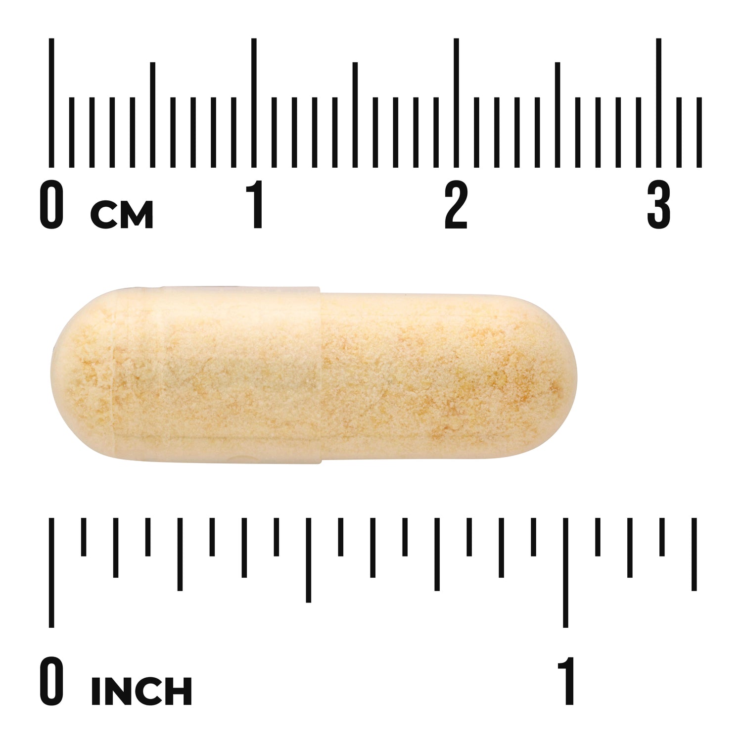 SW1337 | Beige capsule with size shown against cm and inch rulers