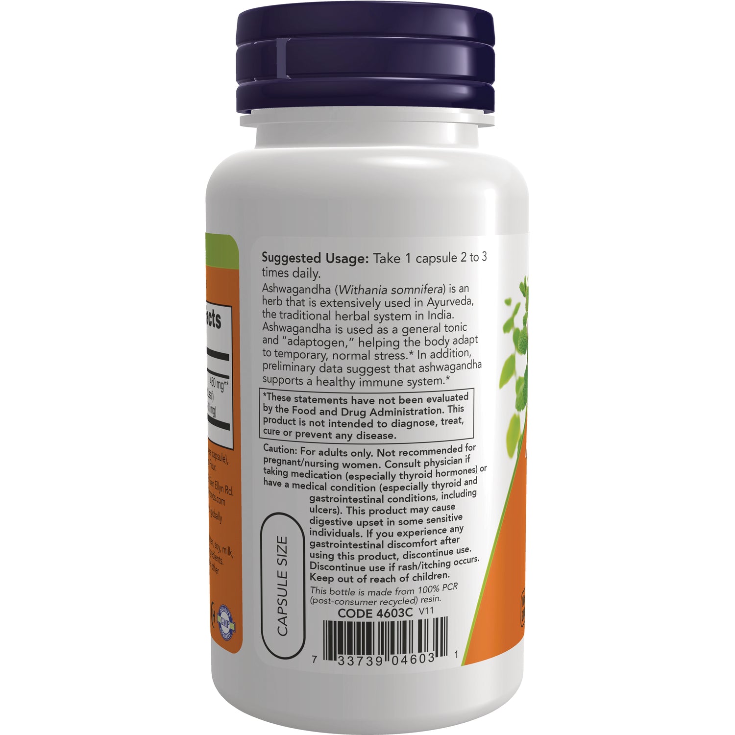 NWF461 | Back label of white supplement bottle showing suggested usage, cautions and barcode