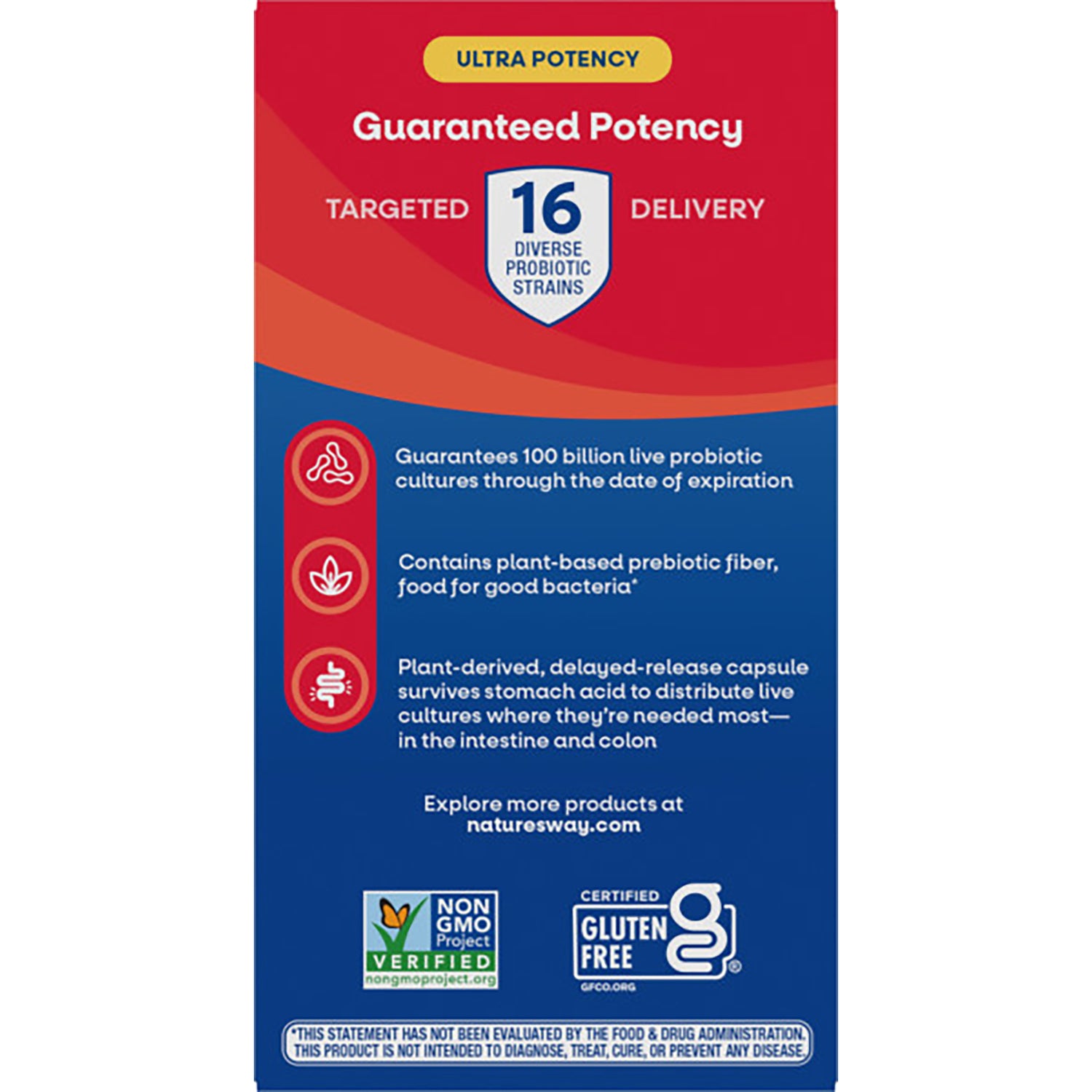 NW804 | Back of blue probiotic box stating Advanced Care formula with 100 billion live cultures, Non-GMO and Gluten Free