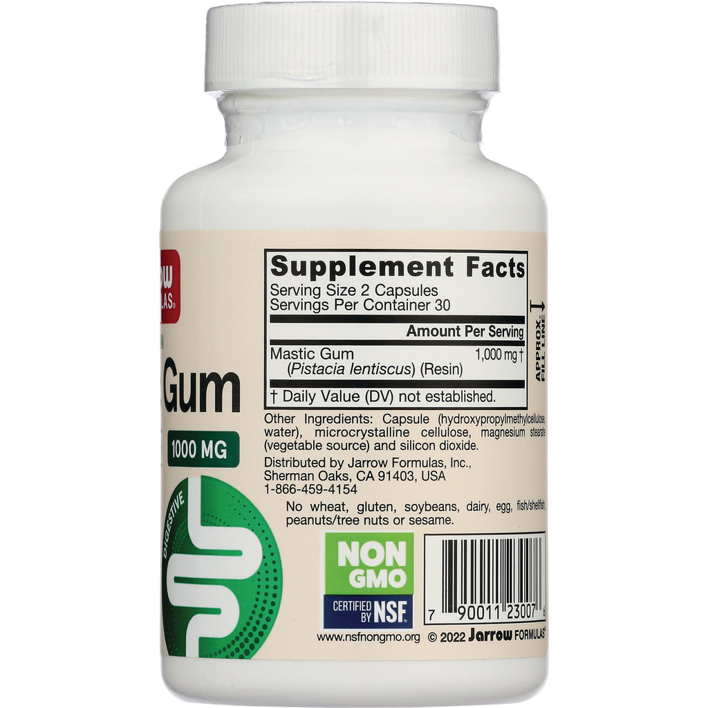 JR169 | Supplement facts panel and ingredients on back of white Mastic Gum bottle with non GMO label and barcode - Thumbnail