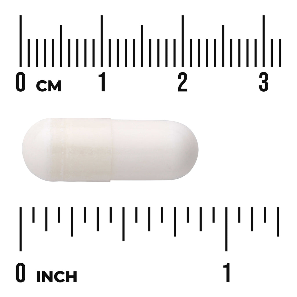 SWU797 | White capsule photographed on white background with centimeter and inch rulers for size reference - Thumbnail